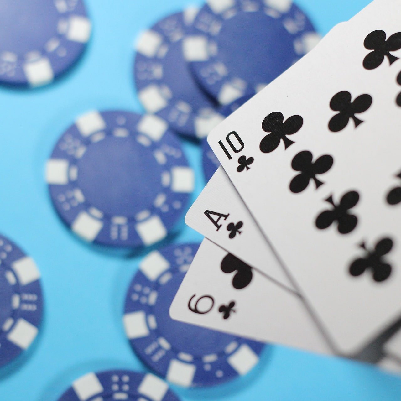 56d bet app